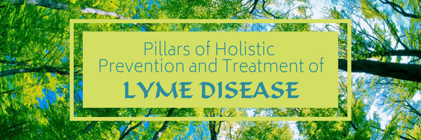 Pillars of Holistic Prevention and Treatment of Lyme Disease