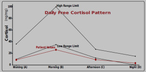 Free Cortisol Graph