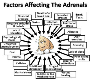 Adrenal stressors