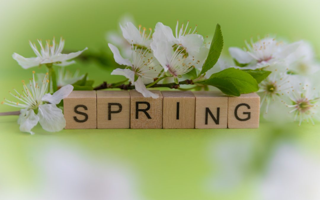 QiMail Archive:  April 2022 Give your Body a Spring Cleaning!
