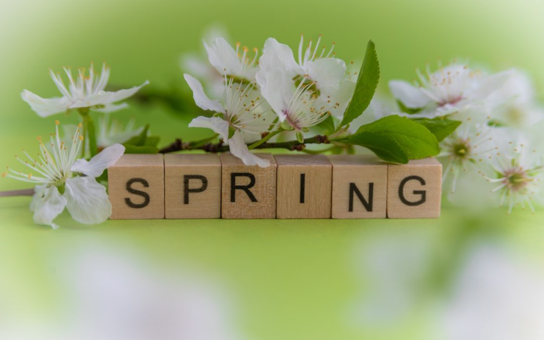 QiMail Archive: April 2022 Give your Body a Spring Cleaning!